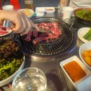 봄이다! 만끽하자!!!