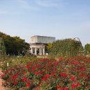 영희의 정원 이미지