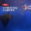 크리스탈베이 | 발리 스노클링 만타가오리 투어, 누사페니다 크리스탈베이 보트투어 추천 후기