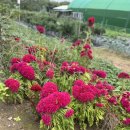 소희농장 이미지