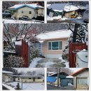 초천3리 이미지