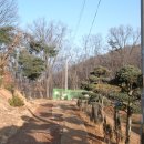 능안농장 네이버블로그