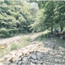 강가의 낙원펜션 이미지