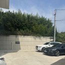 당신의안목 브리에 이미지