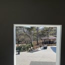 커피콜 | 청주 상당산성 아우트로커피, 로스터리 베이커리 대형카페 메뉴추천 주차 영업시간 주말웨이팅