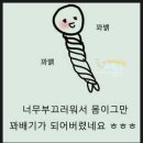 자미당 이미지