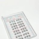 데일리아이래쉬 이미지