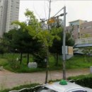 솔무공원 이미지