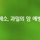 채소.과일 네이버블로그