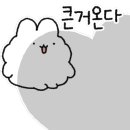 집밥의 정석 이미지