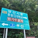 법기마을쉼터 | [2021-09-11/토] 양산 법기 수원지 치유의 길과 운봉산&amp;군지산 혼산 후기(feat.버섯천지)