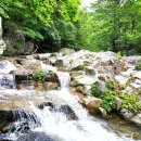 장신리유원지 이미지