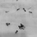 문정탑동물병원 이미지