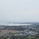 제주애 민박 이미지