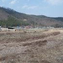 유곡초등학교 이미지