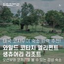 [한달강좌 2차][외부][야간]천연비누 | 오션뷰와 코끼리를 볼 수 있는 코사무이 리조트 와일드 코티지 엘리펀트 생추어리 리조트 / Wild...