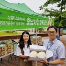 충남사 연합뉴스
