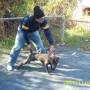 효산농장 이미지