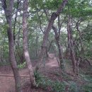 [광주 광산구]광주여대~동자봉(154m)~어등산 석봉(338m)~등용정~광주여대 다녀오기(2021/8/22/일 오후) 이미지