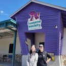 W 인천심장동물병원 이미지