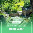 마을 보호수 | 느티나무 보호수가 있는 옛 우물터 &#39;읍내동 암각군&#39;