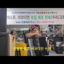 아코디언 Daum카페