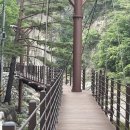 설악산 백담사계곡길(백담계곡-영시암-수렴계곡) 트레킹(250809) 이미지