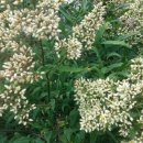 금수강산사우나 이미지