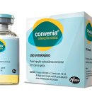 죽전예담동물병원 이미지