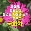 불면증 치료에 도움주는 들국화차 효능 이미지