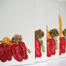 박재웅 카카오 검색결과