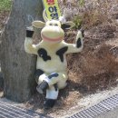 흥남회관 이미지