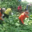 한신농장 이미지