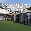 산책갈까? | 당진 애견카페 산책갈까 후기 처음 방문하기 부담 적었던 곳