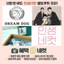 드림독 강아지분양 안심분양센터 김포점 이미지