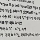 느티나무레스토랑 이미지