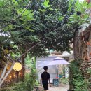 삼미당 - 부평구 부평문화로72번길 10-5 | 한옥마을 맛집] 아이와 함께 발견한 인생 숙성 삼겹살, 분위기에 취하고 맛에 반한 '삼미당' 솔직 후기!