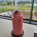 동일스위트리버(아) 이미지