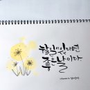 캘리그라피(주말) 이미지