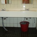 대전삼천초등학교 이미지