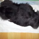 (주)우성메디칼 이미지