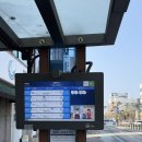 화부산로40번길 | 강릉 1박 2일 코스 뚜벅이 혼자여행 둘째날 | 강문해변 맛집 카페 허균허난설헌기념관 벚꽃스팟