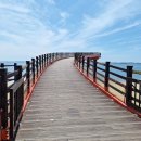 간월도캠핑장 | 홍성캠핑장 추천! 상황오토캠핑장 남당항 근처 힐링캠핑 🏕️