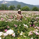 가나다농장 이미지