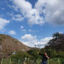 천사봉 오토 캠핑장 이미지