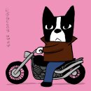 독(DOG)도 이미지