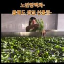 26년 노반장 고수백차 [秋韵」 공구- 이미지