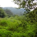 구산면582 이미지