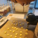 반려동물 수제간식 만들기 이미지