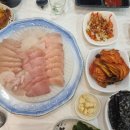 섬마을선어